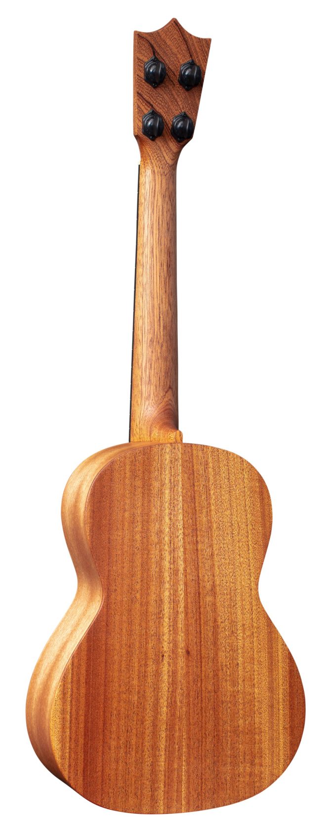T1 Uke - Image 2
