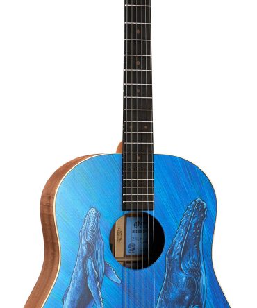 DSS Biosphere® II