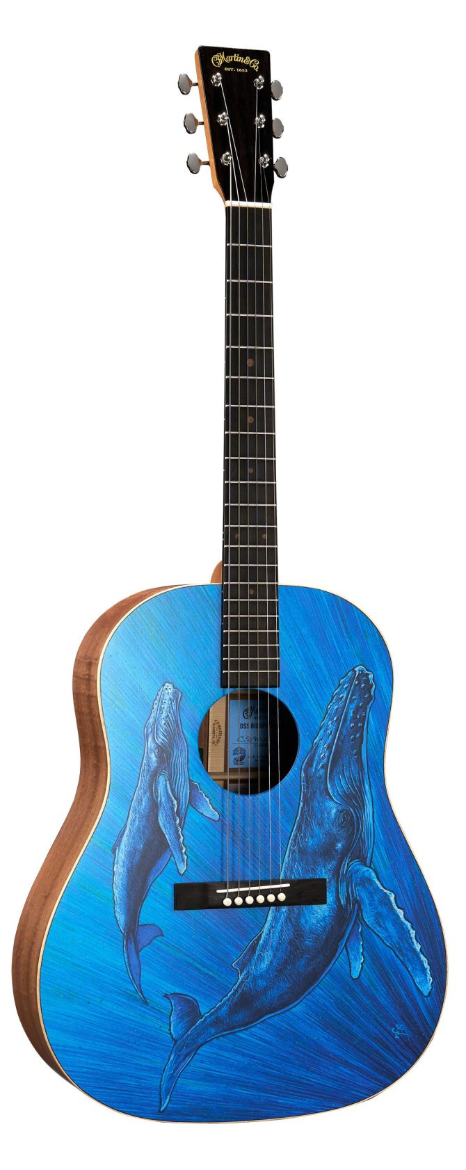 DSS Biosphere® II