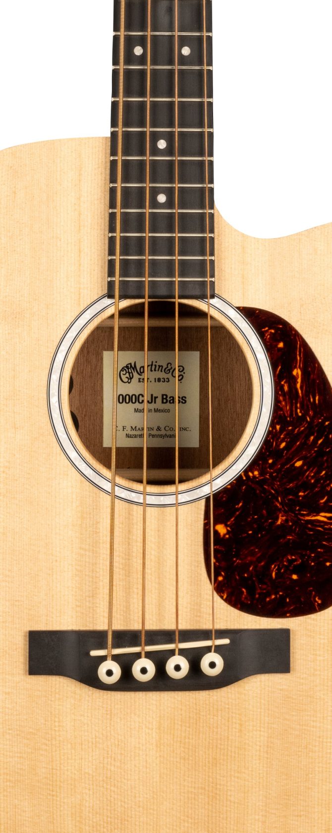 000CJR-10E Bass - Image 3
