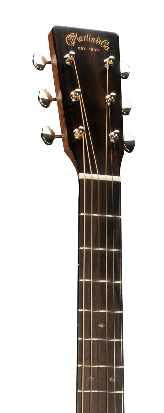D-X2E Billy Strings - Image 4